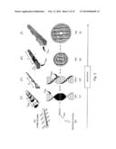 BETA SHEET TAPES RIBBONS IN TISSUE ENGINEERING diagram and image