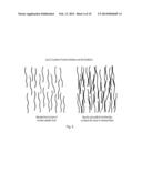 BETA SHEET TAPES RIBBONS IN TISSUE ENGINEERING diagram and image