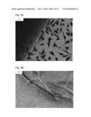 BETA SHEET TAPES RIBBONS IN TISSUE ENGINEERING diagram and image