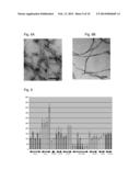 BETA SHEET TAPES RIBBONS IN TISSUE ENGINEERING diagram and image