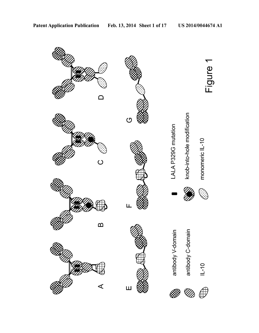 INTERLEUKIN-10 FUSION PROTEINS AND USES THEREOF - diagram, schematic, and image 02