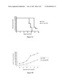 USE OF TRUNCATED CYSTEINE IL28 AND IL29 MUTANTS TO TREAT CANCERS AND     AUTOIMMUNE DISORDERS diagram and image