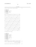 USE OF TRUNCATED CYSTEINE IL28 AND IL29 MUTANTS TO TREAT CANCERS AND     AUTOIMMUNE DISORDERS diagram and image