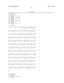 USE OF TRUNCATED CYSTEINE IL28 AND IL29 MUTANTS TO TREAT CANCERS AND     AUTOIMMUNE DISORDERS diagram and image