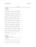 USE OF TRUNCATED CYSTEINE IL28 AND IL29 MUTANTS TO TREAT CANCERS AND     AUTOIMMUNE DISORDERS diagram and image