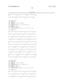 USE OF TRUNCATED CYSTEINE IL28 AND IL29 MUTANTS TO TREAT CANCERS AND     AUTOIMMUNE DISORDERS diagram and image