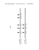 PROTEINS HAVING ACQUIRED A-GALACTOSIDASE ACTIVITY diagram and image