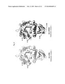 PROTEINS HAVING ACQUIRED A-GALACTOSIDASE ACTIVITY diagram and image