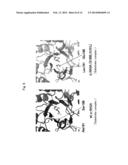 PROTEINS HAVING ACQUIRED A-GALACTOSIDASE ACTIVITY diagram and image