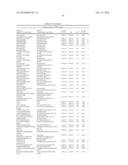 Factor VII polypeptides that are modified and uses thereof diagram and image