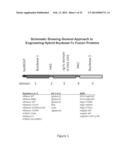 Therapeutic Nuclease Compositions and Methods diagram and image