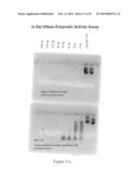 Therapeutic Nuclease Compositions and Methods diagram and image