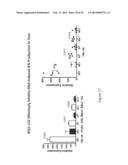 Therapeutic Nuclease Compositions and Methods diagram and image