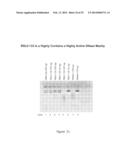 Therapeutic Nuclease Compositions and Methods diagram and image