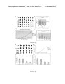 ANTIBODY AND ANTIGEN RECOGNIZING TUMOR-INITIATING CELLS AND USE THEREOF diagram and image