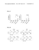 METHODS OF TREATING AGE-RELATED MACULAR DEGENERATION diagram and image