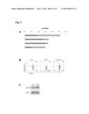 METHODS OF TREATING AGE-RELATED MACULAR DEGENERATION diagram and image