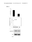 METHODS OF TREATING AGE-RELATED MACULAR DEGENERATION diagram and image