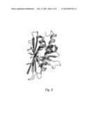 NOVEL HYPOALLERGENS diagram and image