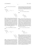 NEW POSITIVE ALLOSTERIC MODULATORS OF NICOTINIC ACETYLCHOLINE RECEPTOR diagram and image