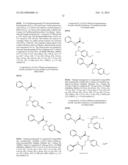 NEW POSITIVE ALLOSTERIC MODULATORS OF NICOTINIC ACETYLCHOLINE RECEPTOR diagram and image