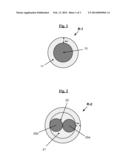 COMPOSITE REINFORCEMENT COATED WITH A SELF-ADHESIVE POLYMER LAYER WHICH     ADHERES TO RUBBER diagram and image