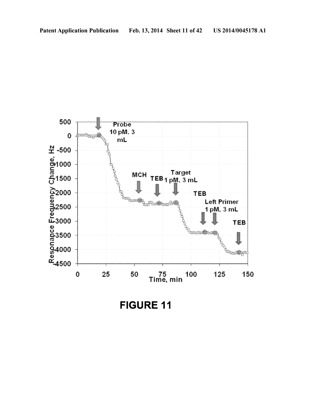 DETECTION OF NUCLEIC ACIDS USING A CANTILEVER SENSOR - diagram, schematic, and image 12