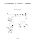 MONITORING PROTEIN TRAFFICKING USING BETA-GALACTOSIDASE REPORTER FRAGMENT     COMPLEMENTATION diagram and image