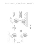 Activatable Binding Polypeptides and Methods of Identification and Use     Thereof diagram and image