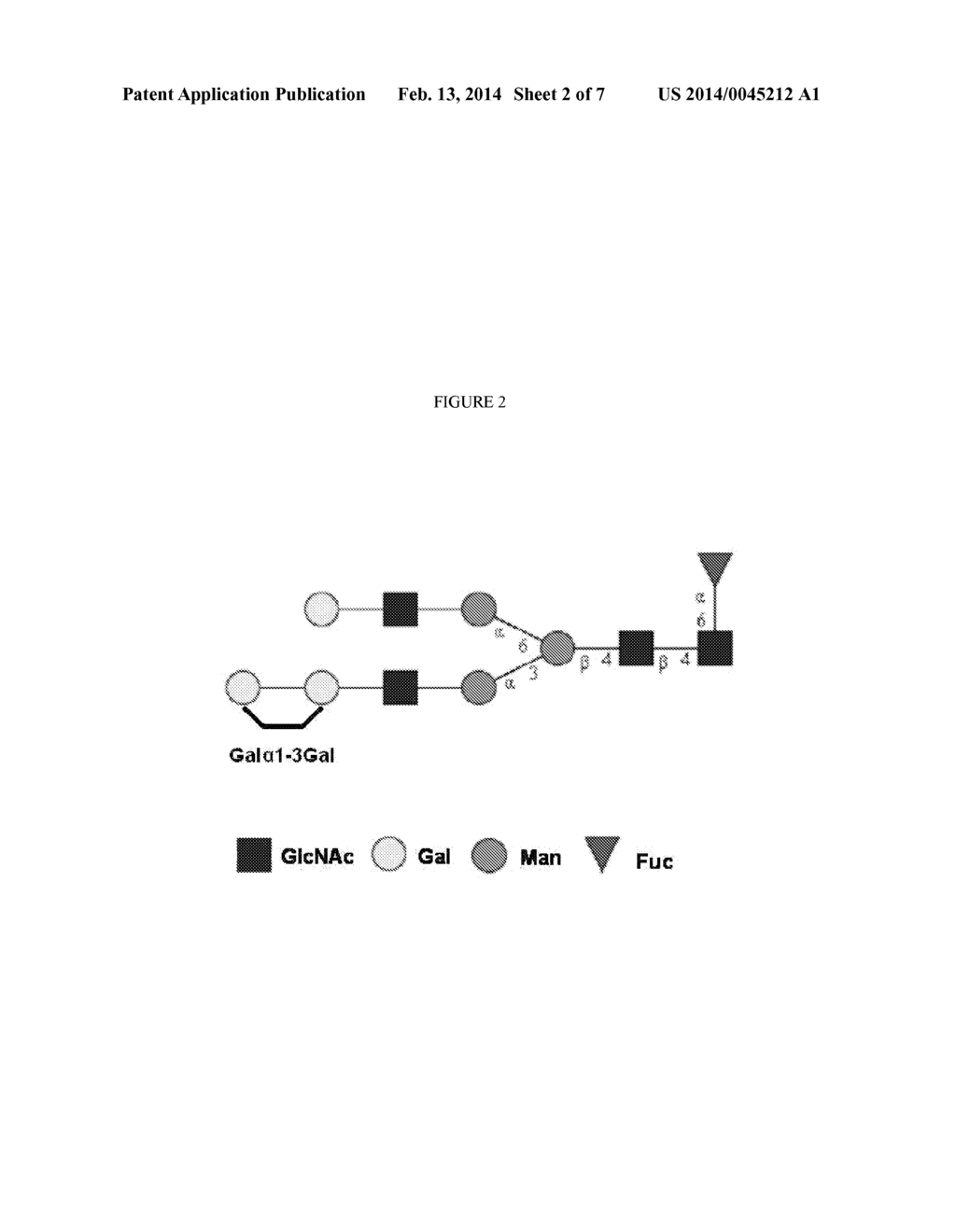 GAL ALPHA 1-3GAL-CONTAINING N-GLYCANS IN GLYCOPROTEIN PRODUCTS DERIVED     FROM CHO CELLS - diagram, schematic, and image 03