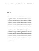 REVERSE TRANSCRIPTASE HAVING IMPROVED THERMOSTABILITY diagram and image