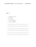 REVERSE TRANSCRIPTASE HAVING IMPROVED THERMOSTABILITY diagram and image