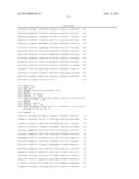 REVERSE TRANSCRIPTASE HAVING IMPROVED THERMOSTABILITY diagram and image