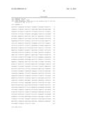 REVERSE TRANSCRIPTASE HAVING IMPROVED THERMOSTABILITY diagram and image