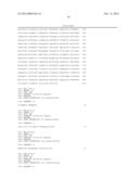 REVERSE TRANSCRIPTASE HAVING IMPROVED THERMOSTABILITY diagram and image