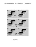 SYSTEM FOR TRAPPING, INTERACTING AND MODIFYING SINGLE PROTEIN MOLECULES     USING A DOUBLE-NANOHOLE STRUCTURE diagram and image