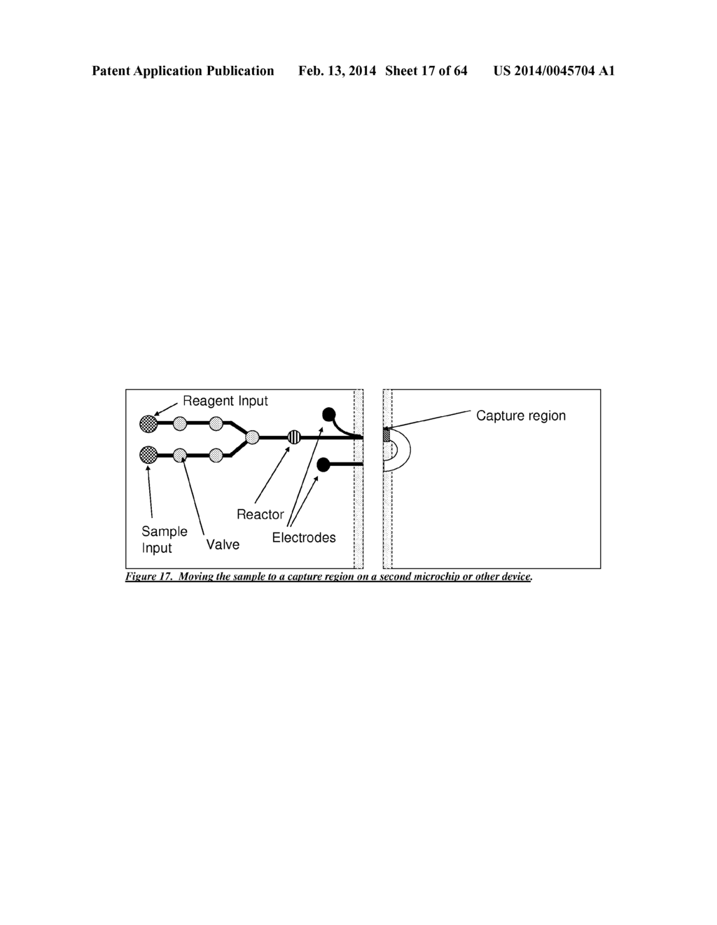 MICROFLUIDIC AND NANOFLUIDIC DEVICES, SYSTEMS, AND APPLICATIONS - diagram, schematic, and image 18