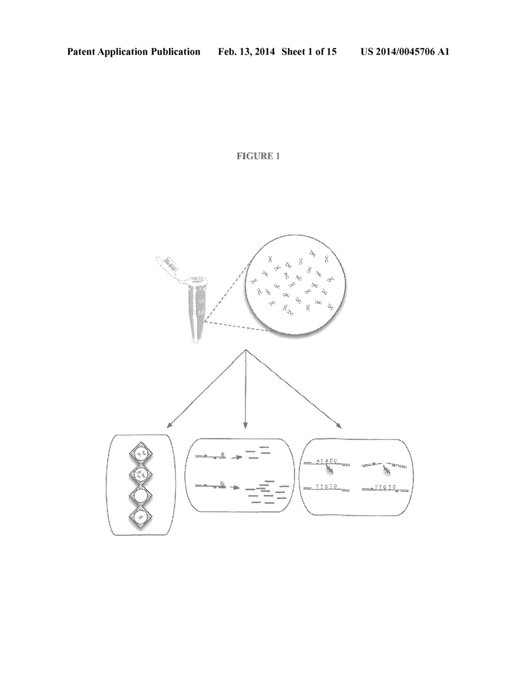 METHODS AND SYSTEMS FOR HAPLOTYPE DETERMINATION - diagram, schematic, and image 02