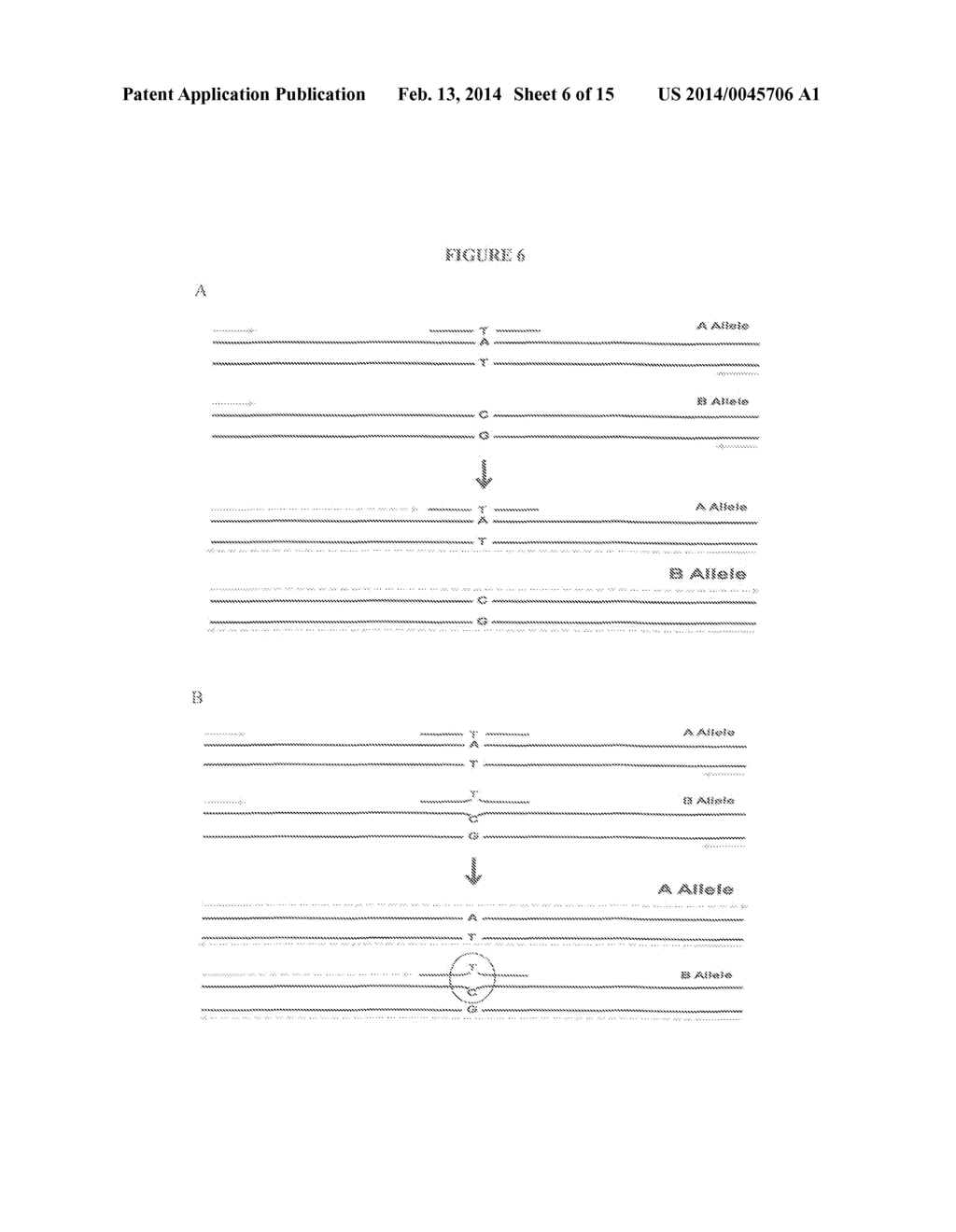 METHODS AND SYSTEMS FOR HAPLOTYPE DETERMINATION - diagram, schematic, and image 07