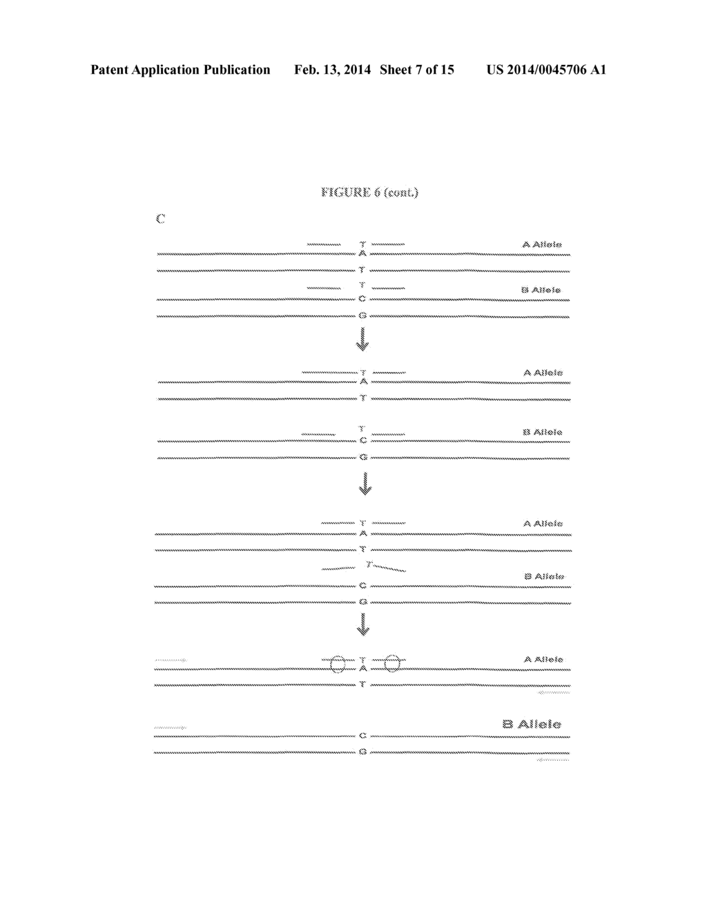 METHODS AND SYSTEMS FOR HAPLOTYPE DETERMINATION - diagram, schematic, and image 08