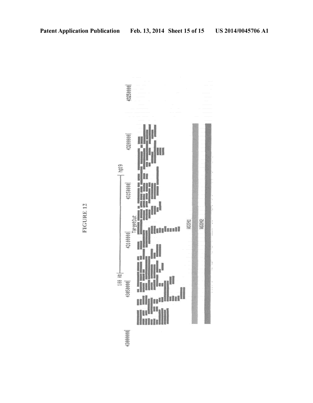 METHODS AND SYSTEMS FOR HAPLOTYPE DETERMINATION - diagram, schematic, and image 16