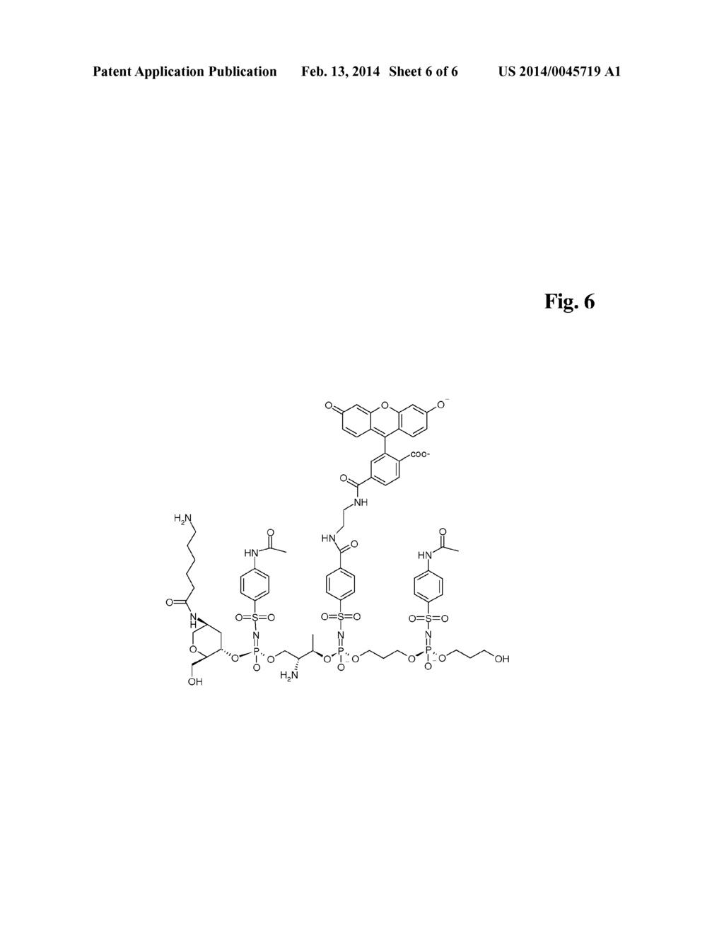 DIRECTED SYNTHESIS OF OLIGOPHOSPHORAMIDATE STEREOISOMERS - diagram, schematic, and image 07