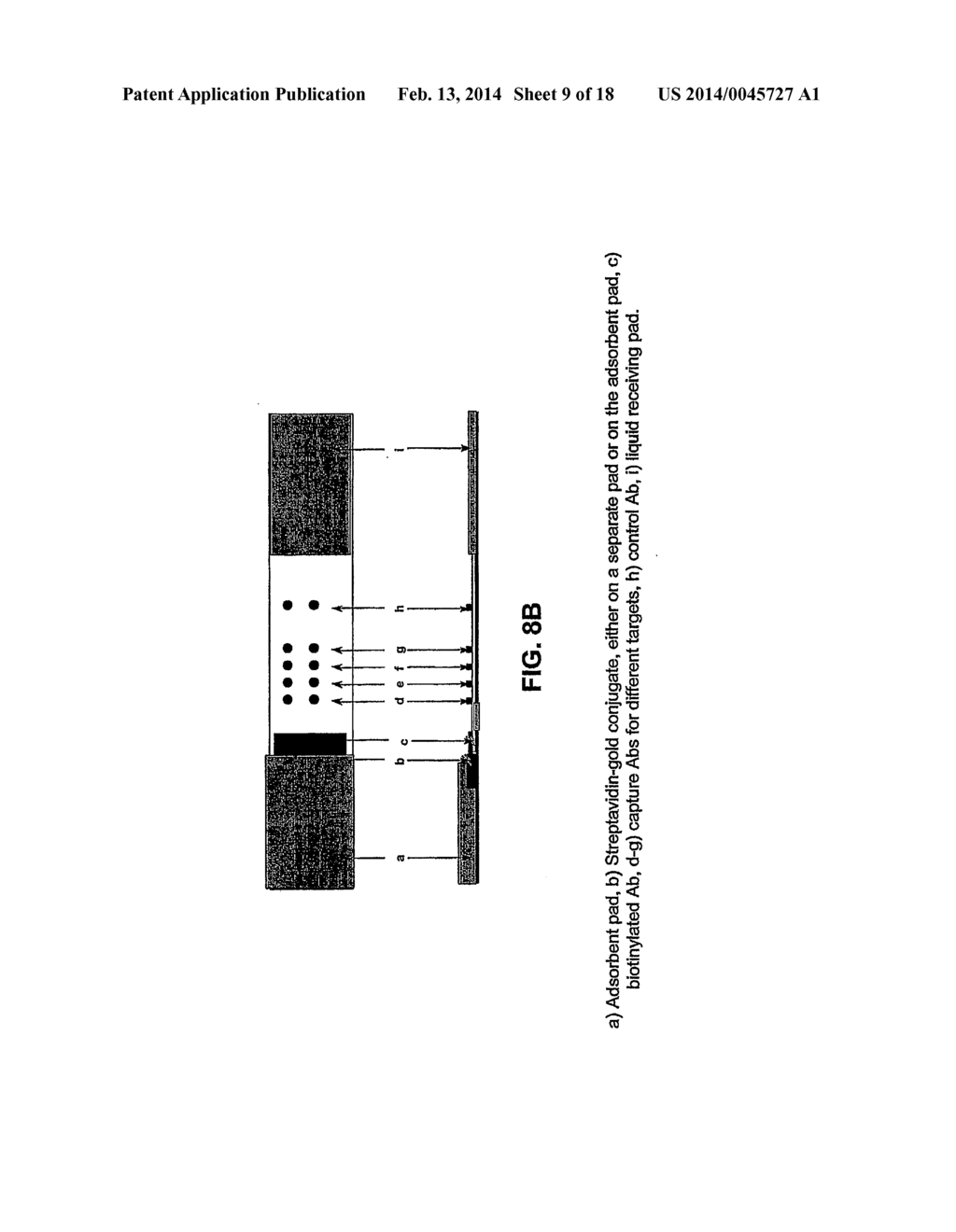 Polymer Conjugate Enhanced Bioassays - diagram, schematic, and image 10