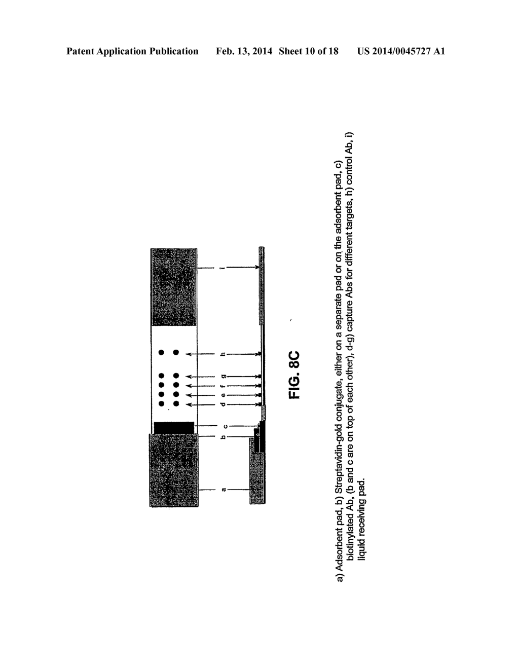 Polymer Conjugate Enhanced Bioassays - diagram, schematic, and image 11