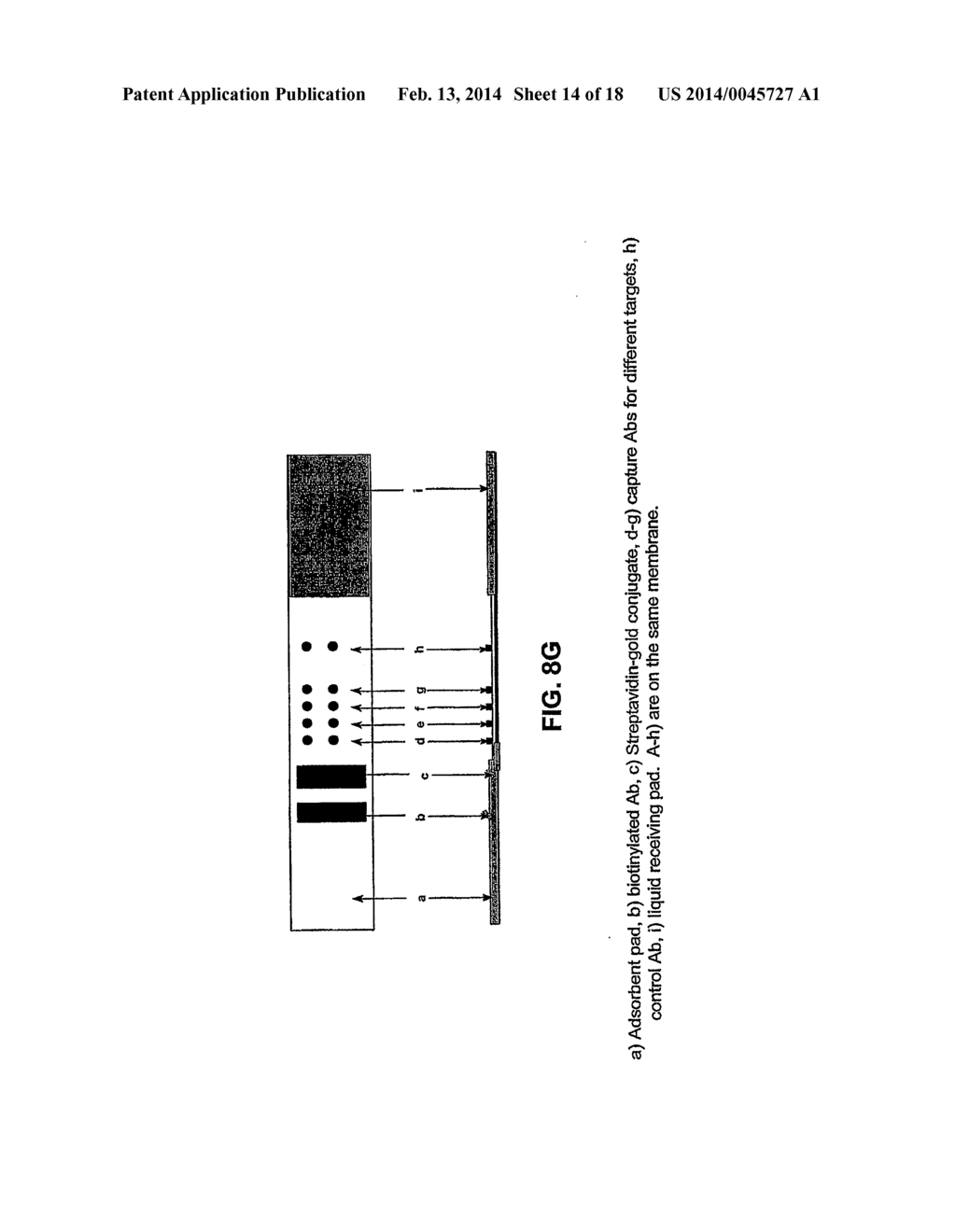 Polymer Conjugate Enhanced Bioassays - diagram, schematic, and image 15