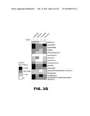 CULTURED COLLECTION OF GUT MICROBIAL COMMUNITY diagram and image