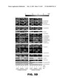 CULTURED COLLECTION OF GUT MICROBIAL COMMUNITY diagram and image