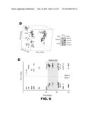 CULTURED COLLECTION OF GUT MICROBIAL COMMUNITY diagram and image