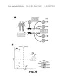 CULTURED COLLECTION OF GUT MICROBIAL COMMUNITY diagram and image