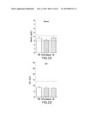 RECOMBINANT HUMAN FIBROBLAST GROWTH FACTOR-1 AS A NOVEL THERAPEUTIC FOR     ISCHEMIC DISEASES AND METHODS THEREOF diagram and image